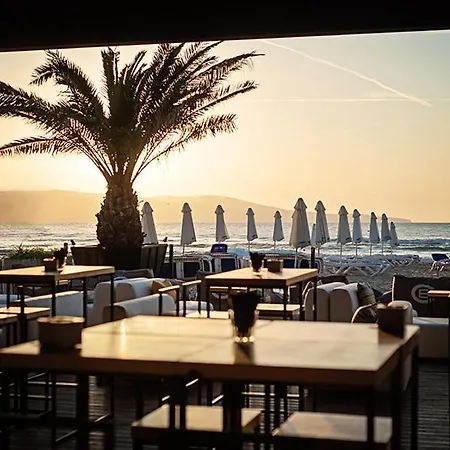 Apartello Modern - Royal Sun,